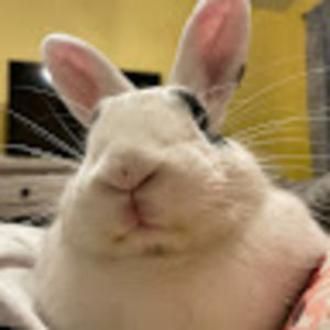 Meet your Posher, Chantel